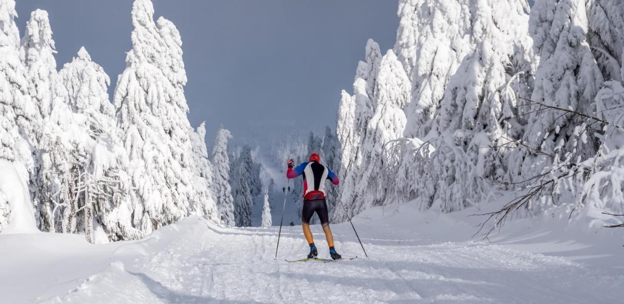 Krusnohorske Strane Loucná pod Klínovcem Exterior foto