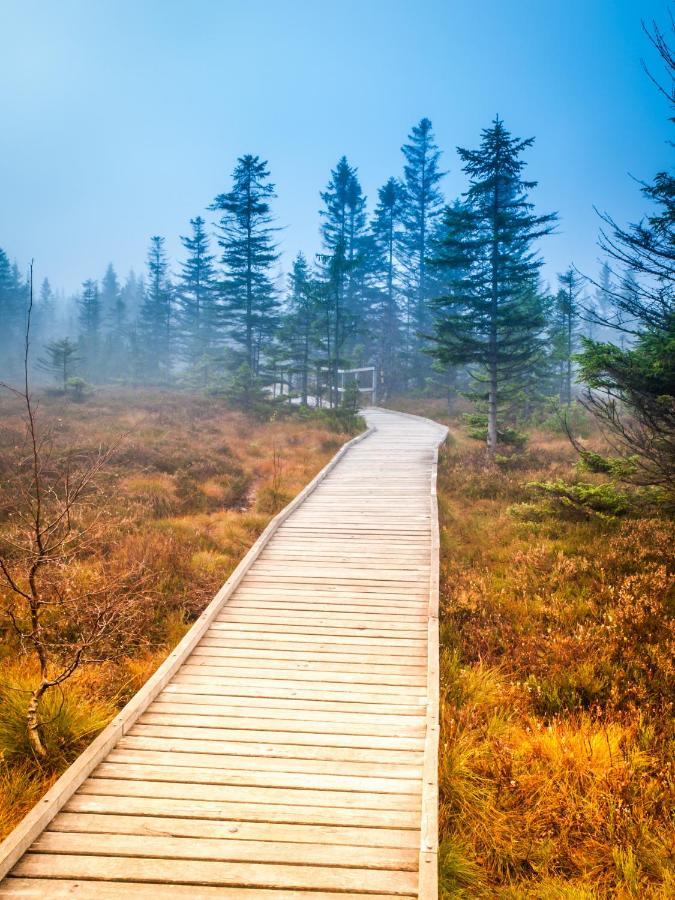 Krusnohorske Strane Loucná pod Klínovcem Exterior foto